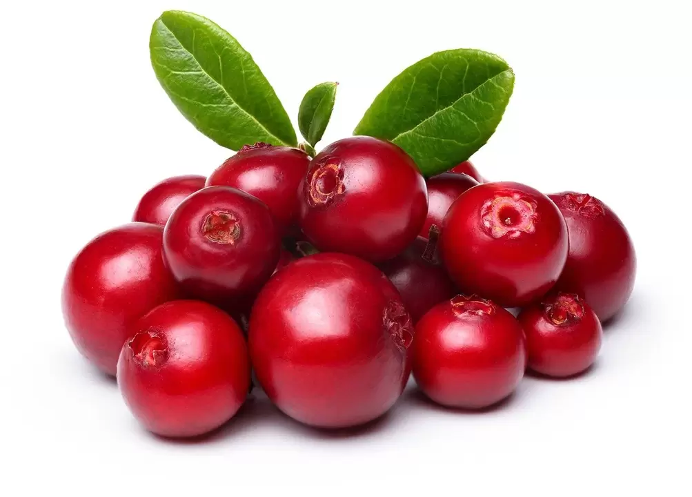 Cranberry femixal